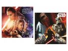 Star Wars párnahuzat 40*40 cm