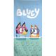 Bluey Diving fürdőlepedő, strand törölköző 70x140cm (Fast Dry)