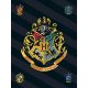 Harry Potter Black polár takaró 100x140cm