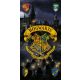 Harry Potter Sorting fürdőlepedő, strand törölköző 70x140cm
