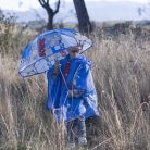 Sonic a sündisznó Ring gyerek átlátszó esernyő Ø71 cm