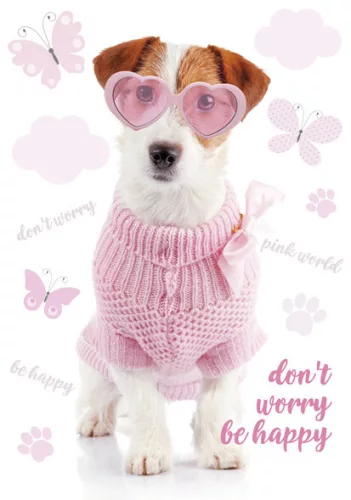 Kutyás Pink World A/4 gumis mappa